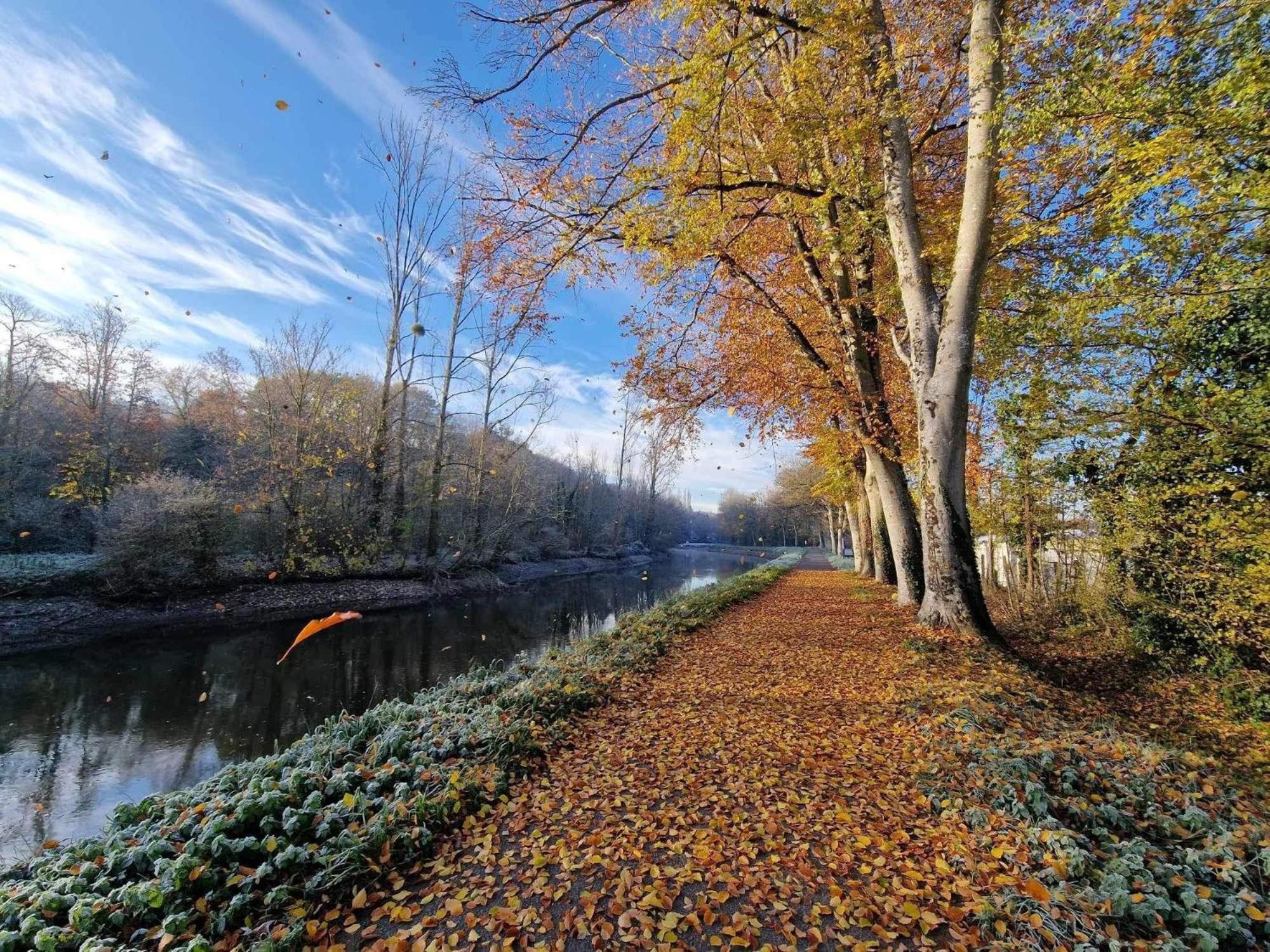Gite Maisonnette- Et A Cote Coule Une Riviere Josselin Buitenkant foto